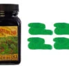 Noodlers Fountain Pen Ink Bottle - Eel Gruene Cactus -Schmidt Store zzzzz 4e829fac 5662 4d4d a4e3 e8c8e02a0578