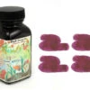 Noodlers Fountain Pen Ink Bottle - Black Swan Australian Roses 2 Noodlers Fountain Pen Ink Bottle - Black Swan Australian Roses -Schmidt Store zzzzz b0819b1c 82f9 46d0 929b a9f85baca46d